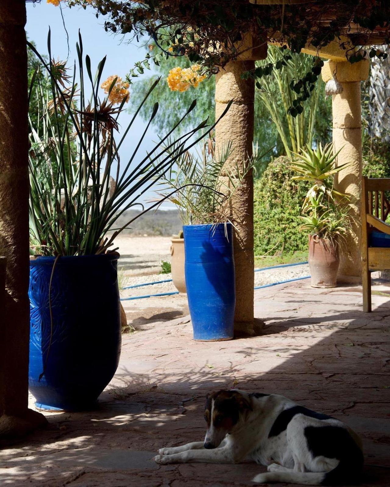 L'Air De La Mer Sidi Kaouki Luaran gambar
