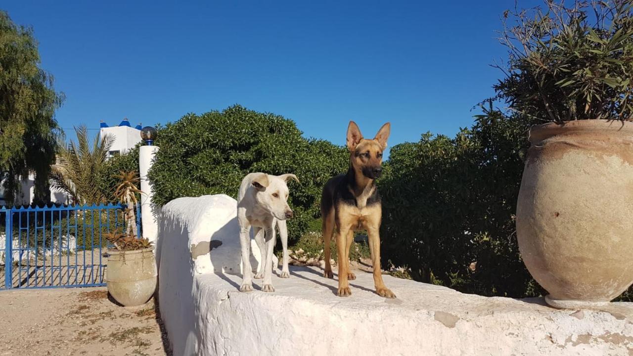 L'Air De La Mer Sidi Kaouki Luaran gambar